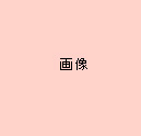 サンプル画像